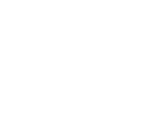 RIGEL Leading Solutions